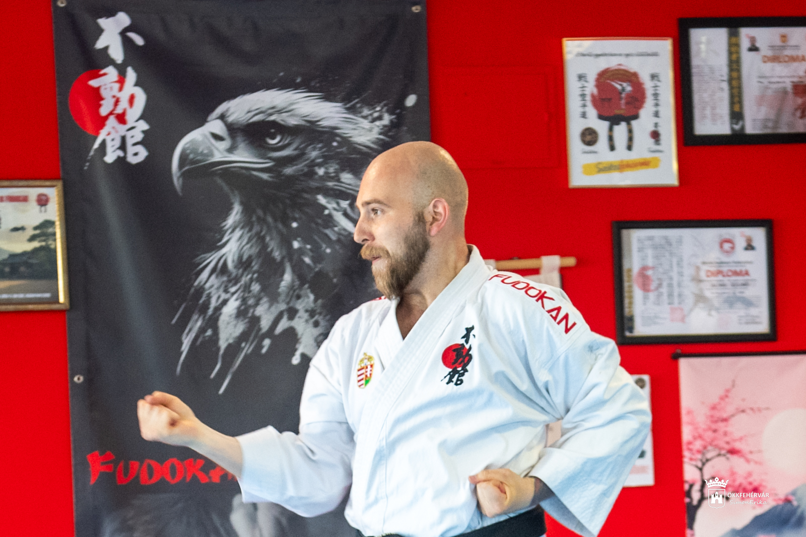 Halmai Roland aranyérmes a 28. Fudokan Karate EB-n