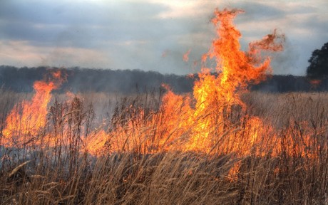Számos szabadtéri tűz adott munkát a hétvégén a tűzoltóknak