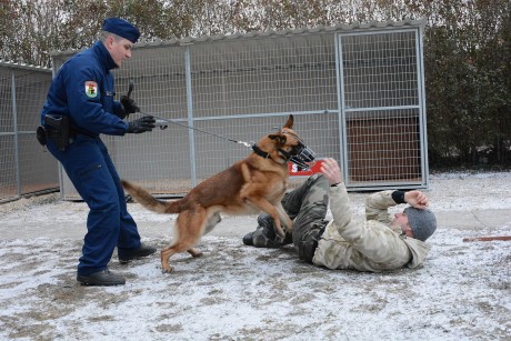 Több mint száz rendezvényt biztosítottak - évet értékelt a fehérvári rendőrkapitány