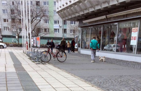 Negyed órán belül megtalálták a rendőrök az ellopott kiskutyát