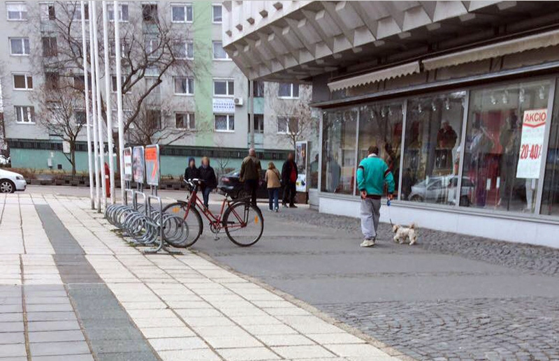 Negyed órán belül megtalálták a rendőrök az ellopott kiskutyát