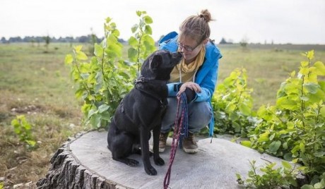Családi és közösségi rendezvények, versenyek - 25 éves a Fehérvári Állatotthon