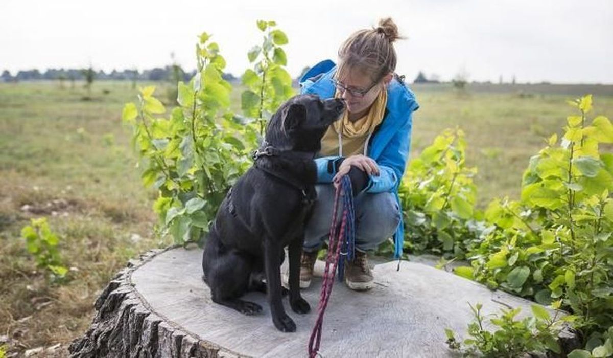 Családi és közösségi rendezvények, versenyek - 25 éves a Fehérvári Állatotthon