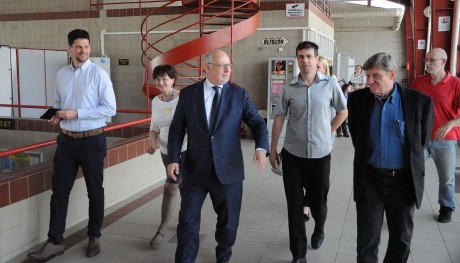 Támogatásra érdemesek Fehérvár tervei az Úszó Szövetség elnöke szerint