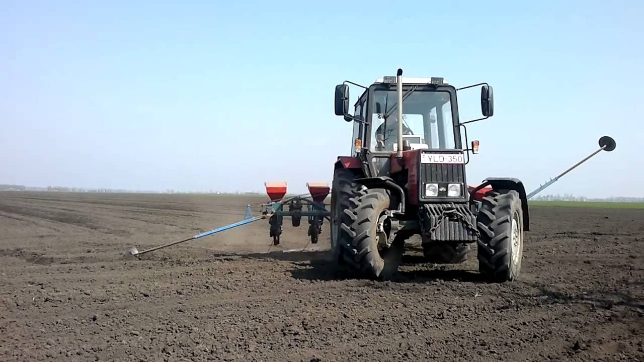 Értesítés méhészeknek kukoricavetésről