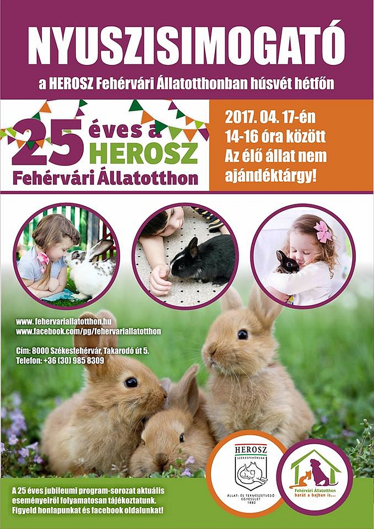 Nyúlsimogató lesz hétfőn délután a Fehérvári Állatotthonban