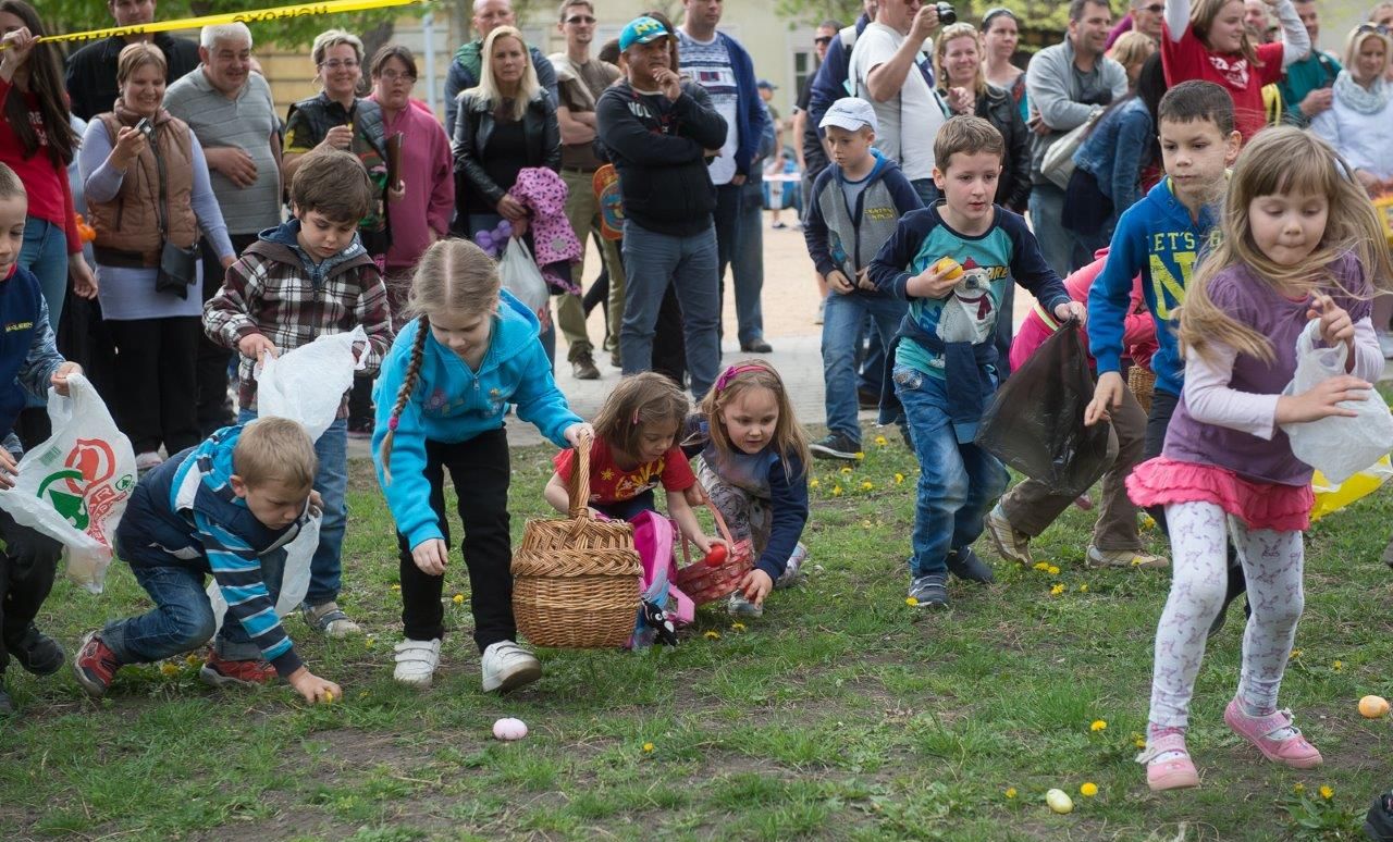 Több mint 7000 tojást rejtettek el a Zichy ligetben