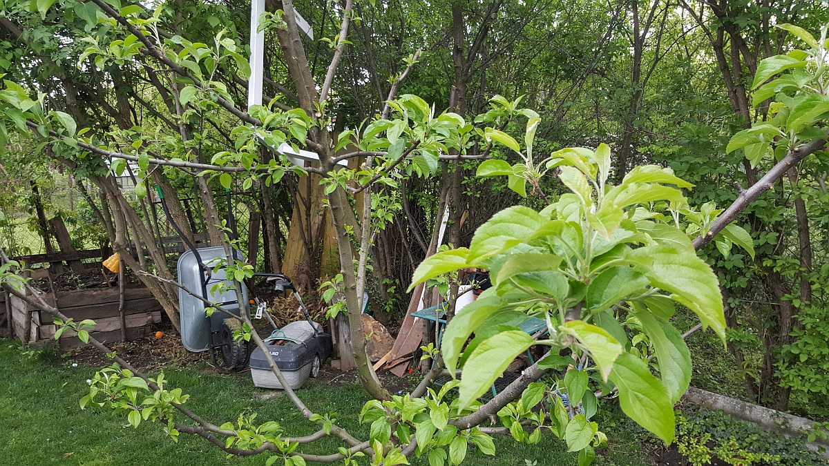 Aktuális feladatok a kertben a Húsvét utáni hűvös időben