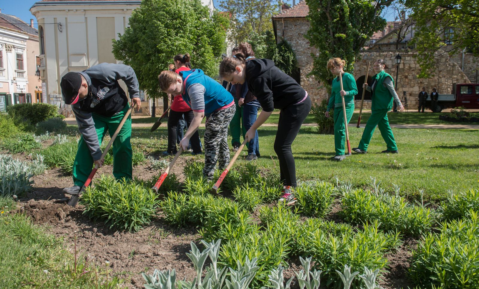 Környezetszépítő akció az Esélyegyenlőség Kertjében