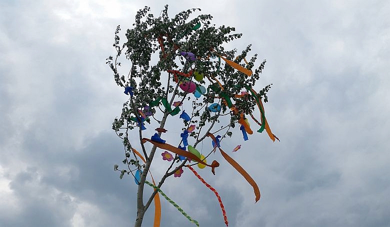 Májusfa állítás és hagyományőrző programok a Feketehegy-Szárazréten