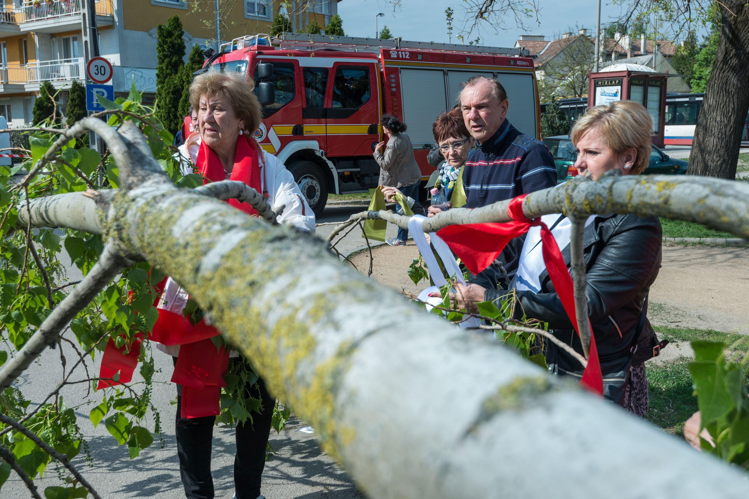 Májusfát állítottak a Vasvári Pál Általános Iskola előtt