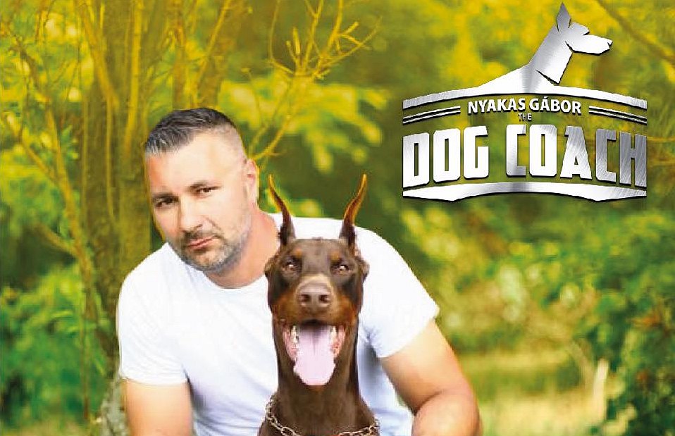 Ingyenes tanfolyamindító nyílt napok kutyásoknak