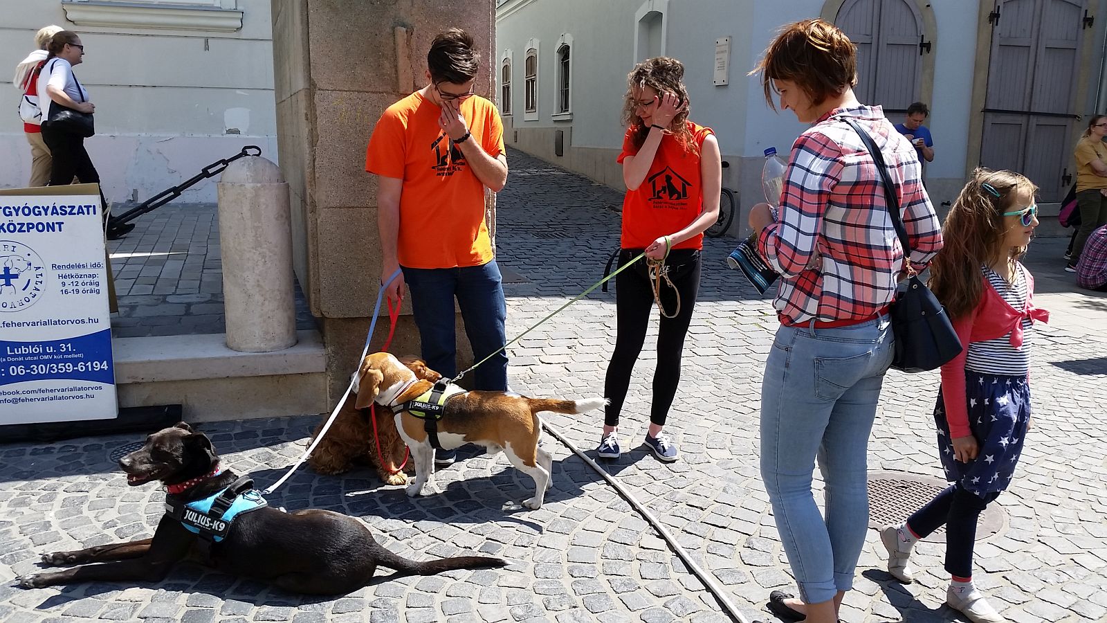 Negyedszázados lett a HEROSZ Fehérvári Állatotthon