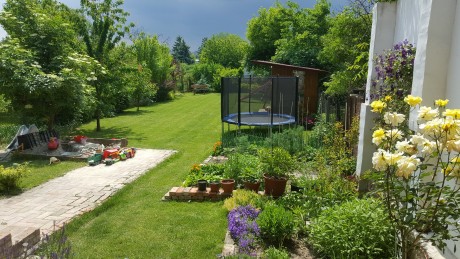 Júniusi feladatok a kertben - Németh László kertészmérnök tanácsai