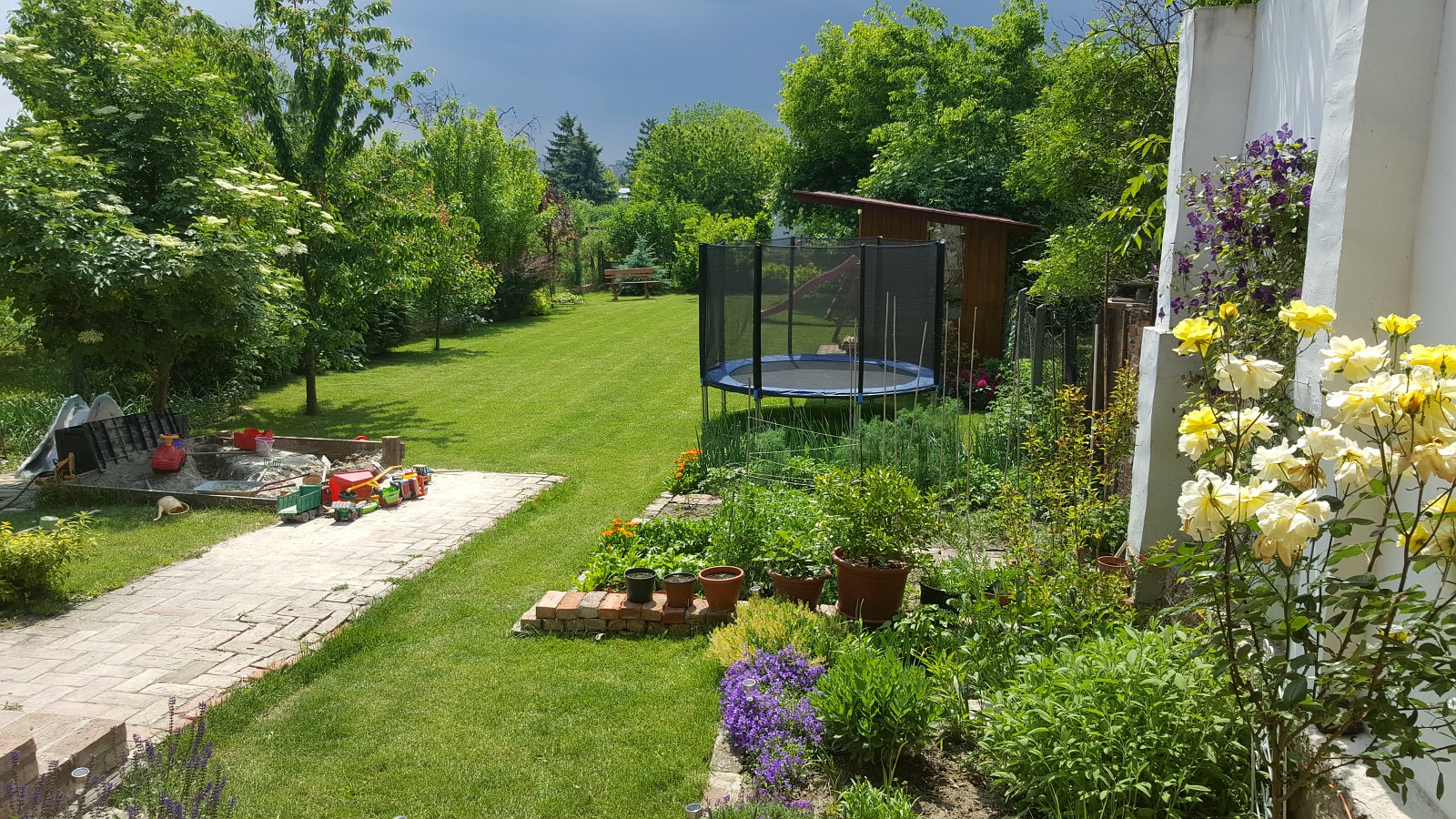 Júniusi feladatok a kertben - Németh László kertészmérnök tanácsai
