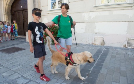 Sokszínű élmények és érzékenyítő programok az Esélynapon