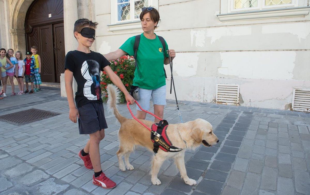 Sokszínű élmények és érzékenyítő programok az Esélynapon