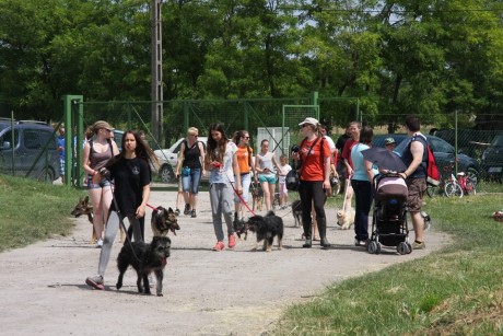 Jubileumi nyílt nap lesz vasárnap a HEROSZ Fehérvári Állatotthonában