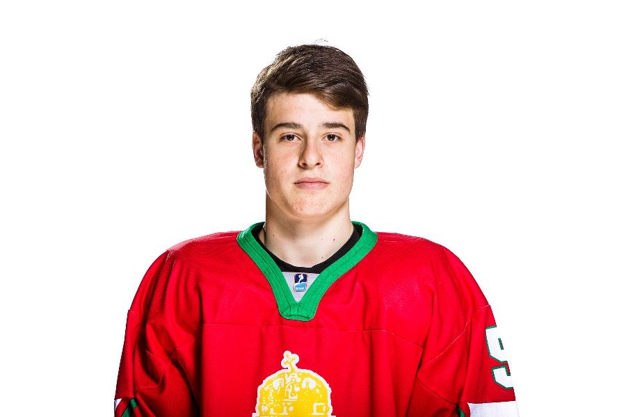 Jégkorong: Stipsicz Bence Fehérváron folytatja