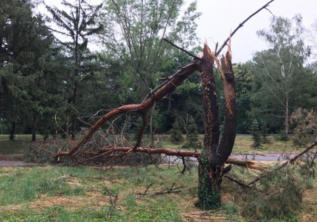 Viharkárok a megyében - 26 helyen jártak a tűzoltók