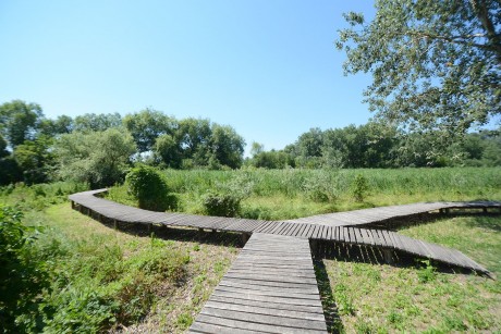 Munkaterület átadás - kezdődnek a Sóstón a rehabilitációs munkálatok