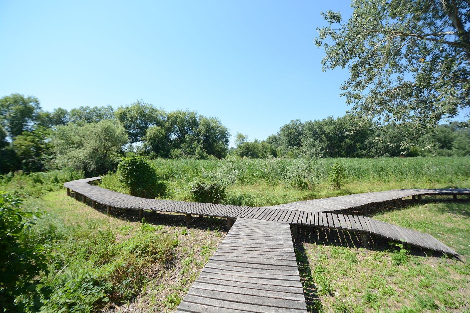 Munkaterület átadás - kezdődnek a Sóstón a rehabilitációs munkálatok