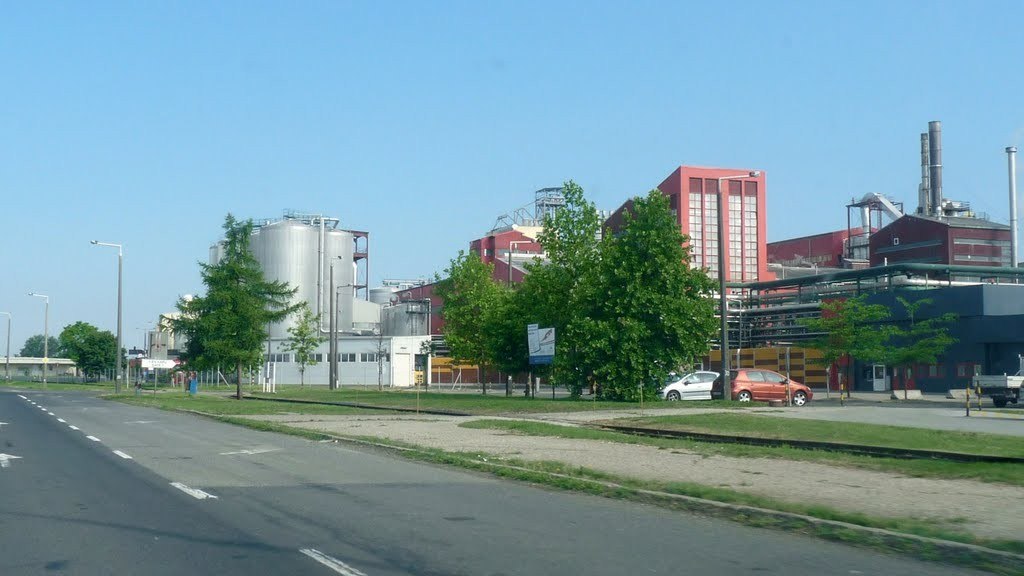 Elkezdődött a 62-esen a szabadegyházi elkerülő építése