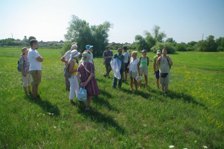 Csodák a városban - Boglárka-napi lepketúra a demkóhegyi réteken