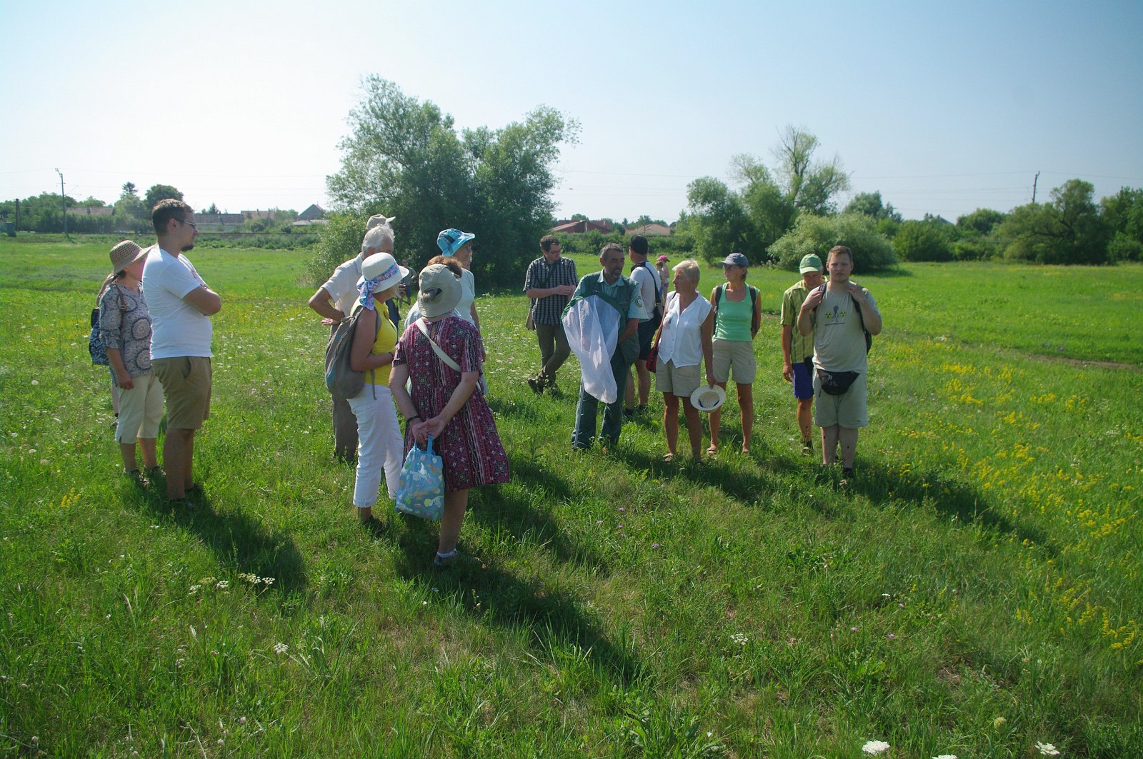 Csodák a városban - Boglárka-napi lepketúra a demkóhegyi réteken