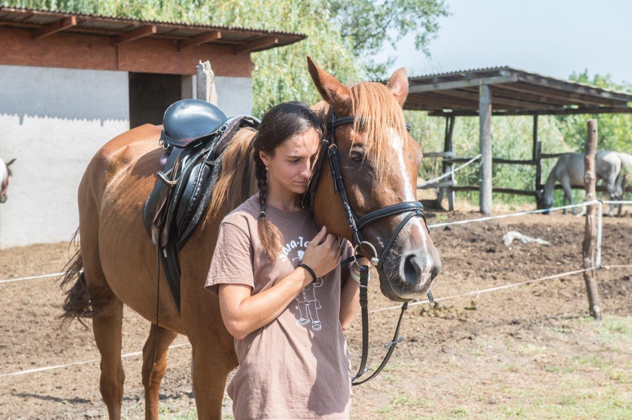 Lovak, napfény, jókedv - Sára-tanya a természet ölelésében