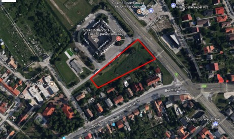 Rágcsálóirtás kezdődik augusztus 22-én Fehérváron a Szent Flórián körúton