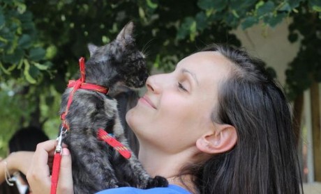 Gazdátlan állatokért jótékonykodtak a Fehérvár Szépe résztvevői