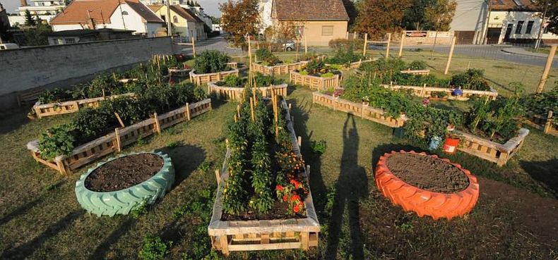 Közösségi Kertek Éjszakája Palotavárosban és Szárazréten