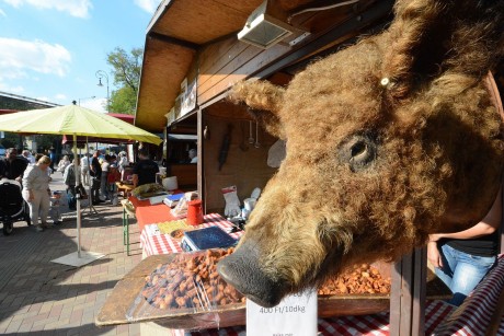 Hétvégén lesz a Palotai kapu téren az idei mangalicafesztivál