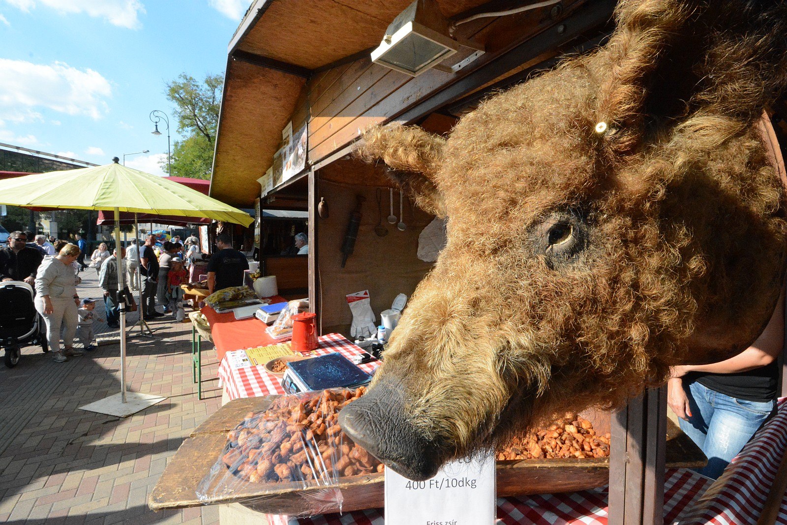 Hétvégén lesz a Palotai kapu téren az idei mangalicafesztivál
