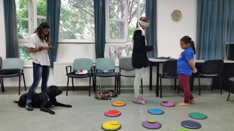 Családi egészségnapot rendezett az Esélykör a Viktória Központban