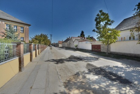 Faültetés és parkosítás lesz ősszel a Csutora utcában - tavasszal építik újra az útburkolatot