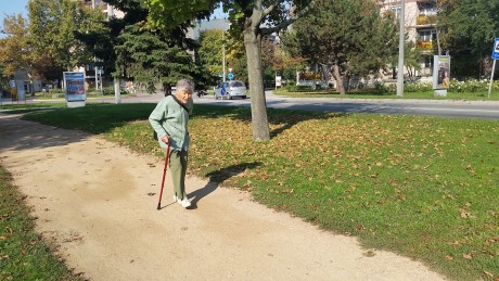 Térköves járda épül a Lövölde úton, az Orosz temető mellett