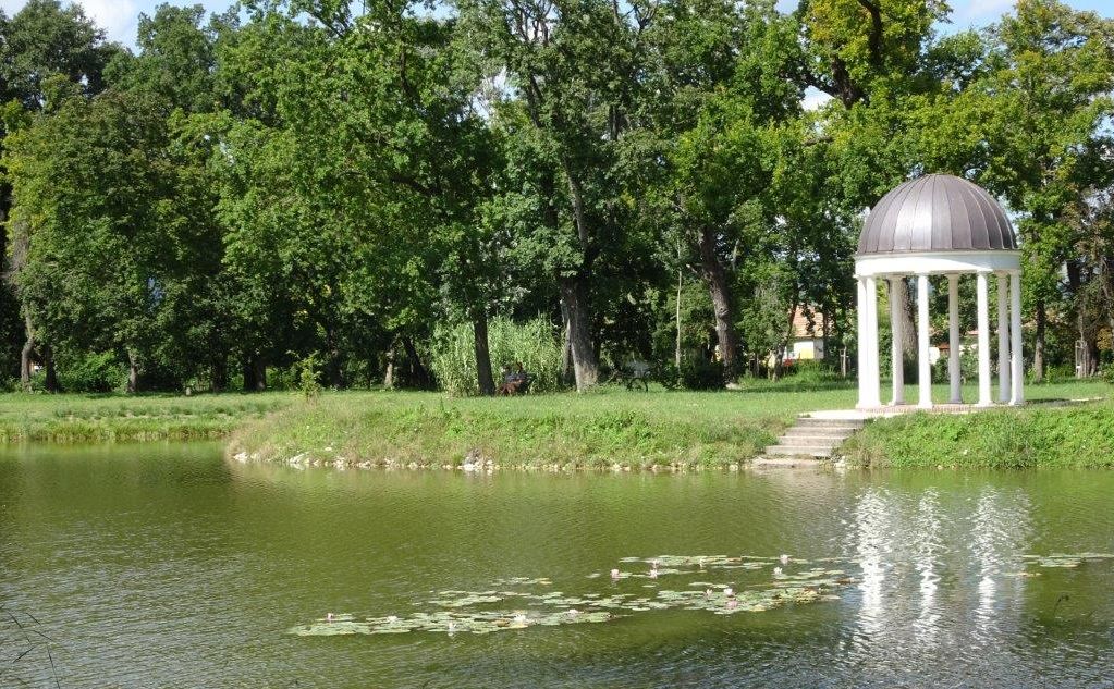 Október 15-én ismét botanikai séta a lesz a Károlyi Kastély parkjában