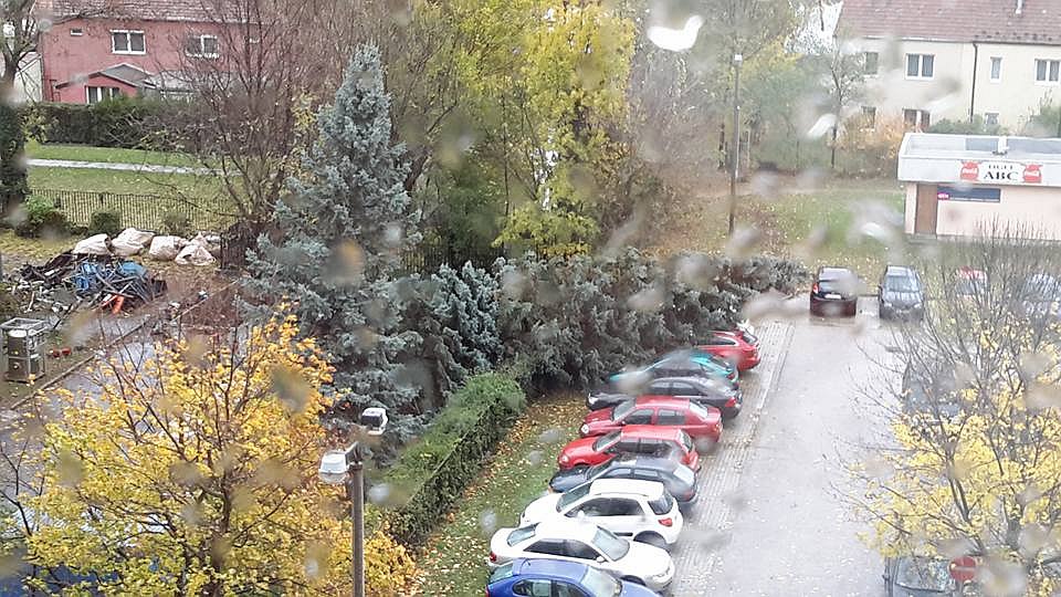 Fákat csavart ki a szél – folyamatosan dolgoznak a tűzoltók