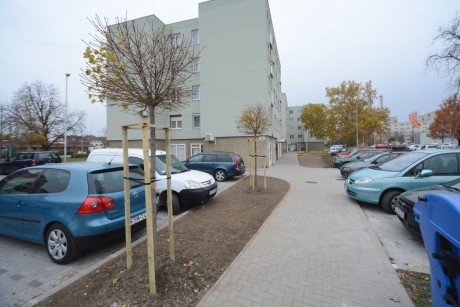 17 fát és 932 cserjét, bokrot ültettek az új Lövölde úti parkoló mellett