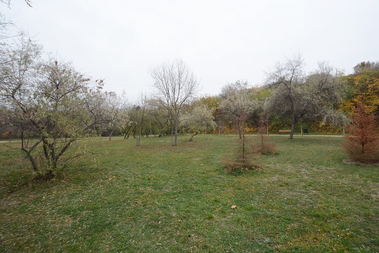 Kondipark épül a Rác bányában - ha az idő engedi, még idén elkészül