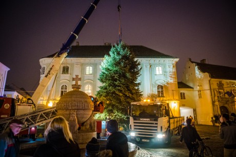 Lepsényből érkezett Székesfehérvár idei karácsonyfája