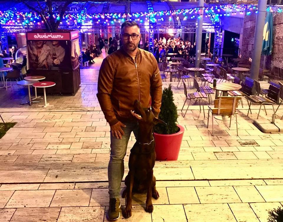 Ingyenes szilveszteri felkészítés kutyáknak és gazdiknak Fehérváron