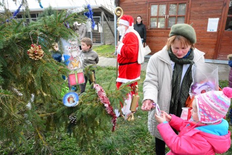 Pénteken délután rendezik az Állatok Karácsonyát