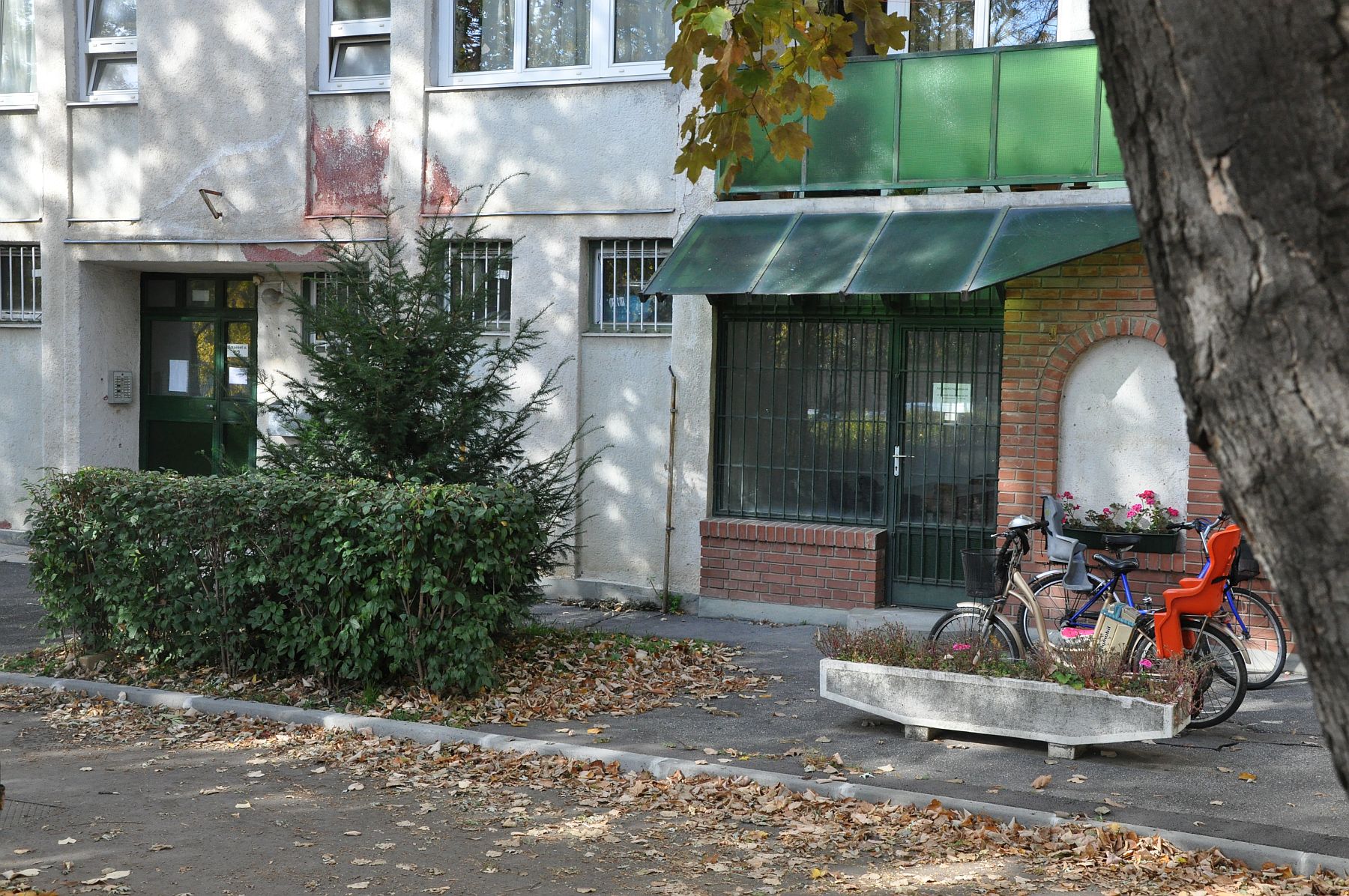 Két helyszínen is várja a lakókat dr. Dienesné Fluck Györgyi önkormányzati képviselő