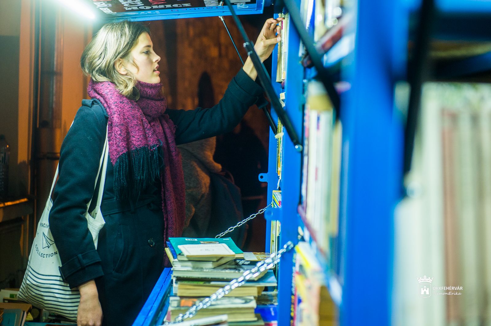 Minőségi könyvek olcsón – megnyílt a könyves szekér a Palotai kapu téren