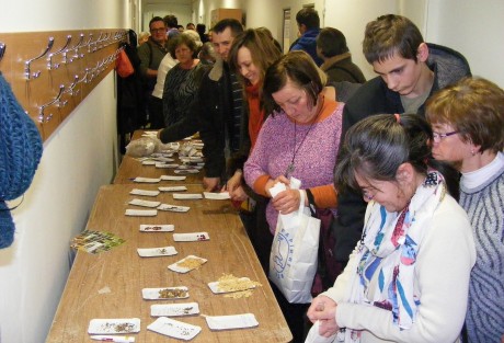 Magbörze lesz szerdán este a Feketehegy-Szárazréti Közösségi Házban