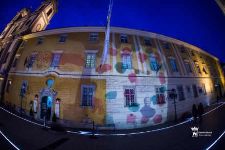 Az utcára vitték a kultúrát a magyar kultúra napján Fehérváron