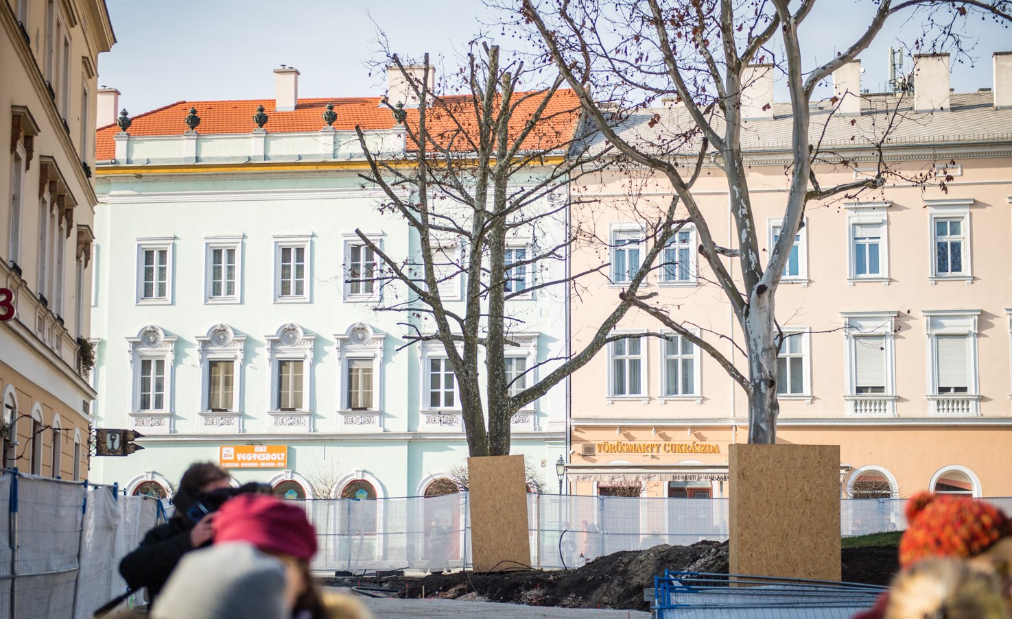 Kivágás helyett megmentik a 60 éves platánt az Országzászló téren